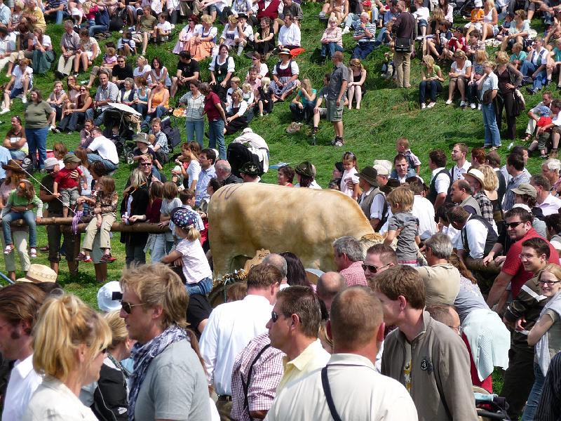 P1000032.jpg - Man mcht' meinen, der Ochs is a Stier und mitten in der Menschenmenge