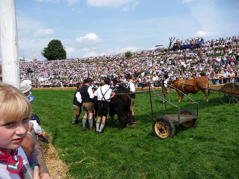 P1000037.jpg - Jetzt noch ein Wagen daran