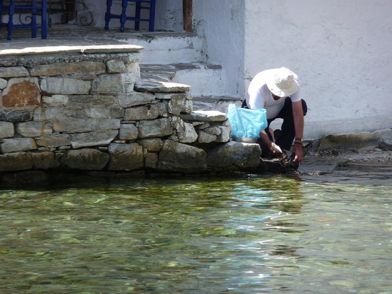 P1010702.JPG -   Pilion/Agia Kyriaki: Der putzt Kalamares  